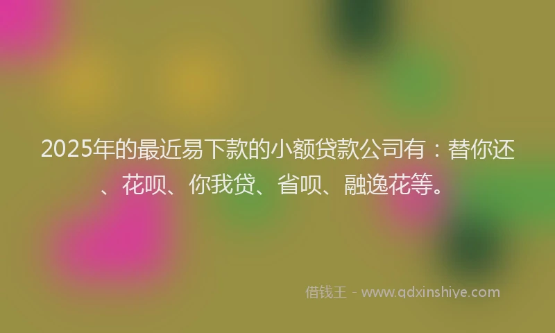 2025年的最近易下款的小额贷款公司有：替你还、花呗、你我贷、省呗、融逸花等。