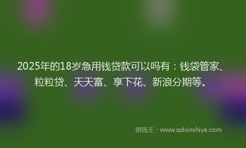 2025年的18岁急用钱贷款可以吗有：钱袋管家、粒粒贷、天天富、享下花、新浪分期等。