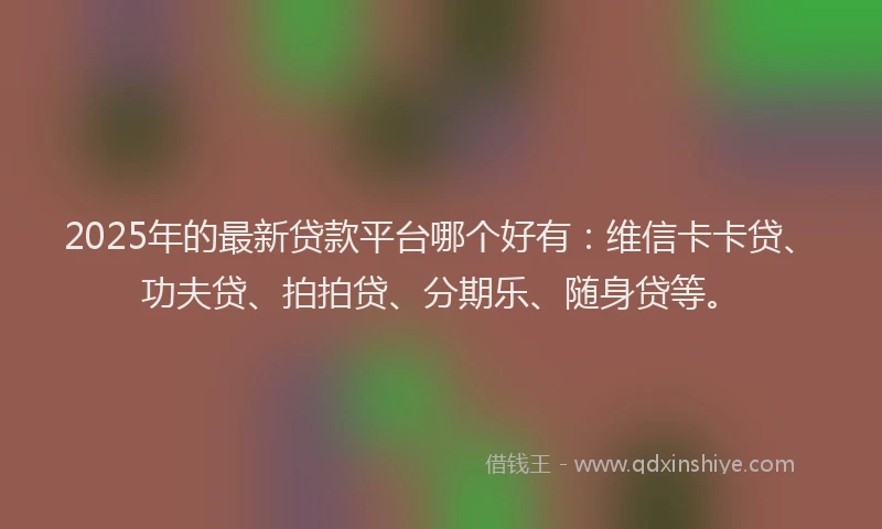 2025年的最新贷款平台哪个好有：维信卡卡贷、功夫贷、拍拍贷、分期乐、随身贷等。