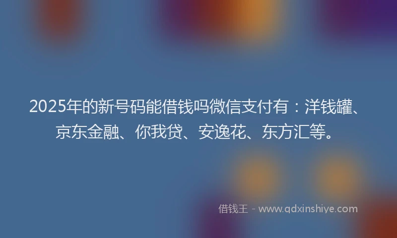 2025年的新号码能借钱吗微信支付有：洋钱罐、京东金融、你我贷、安逸花、东方汇等。