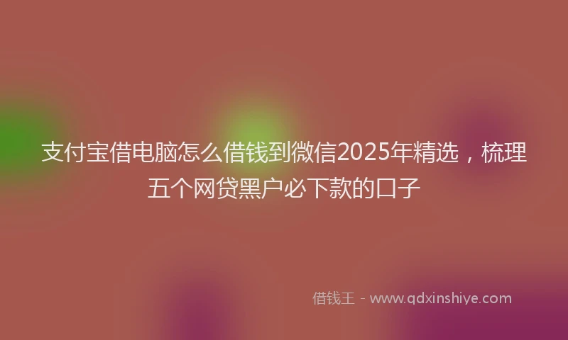 支付宝借电脑怎么借钱到微信2025年精选，梳理五个网贷黑户必下款的口子