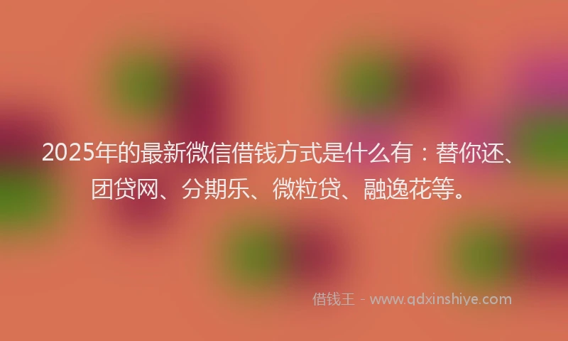 2025年的最新微信借钱方式是什么有：替你还、团贷网、分期乐、微粒贷、融逸花等。