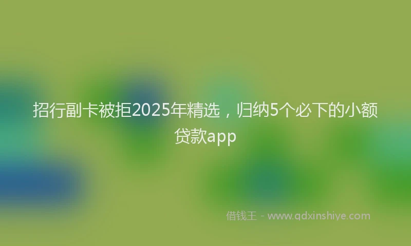 招行副卡被拒2025年精选，归纳5个必下的小额贷款app