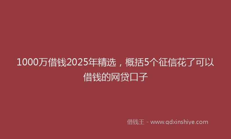 1000万借钱2025年精选，概括5个征信花了可以借钱的网贷口子