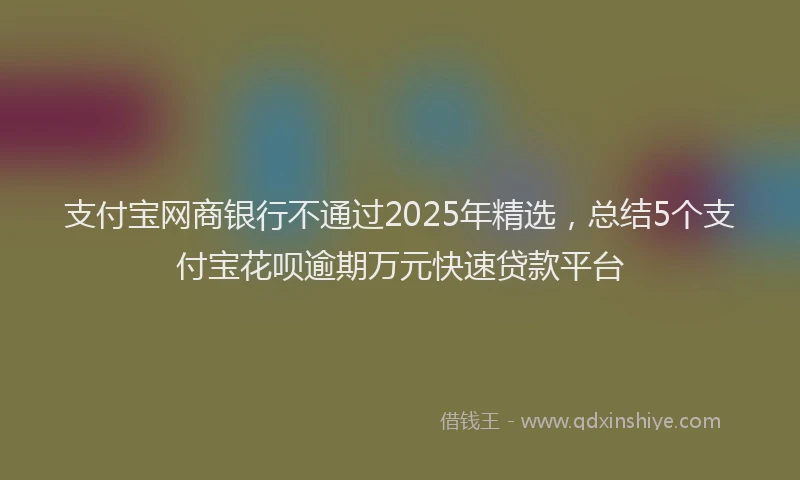 支付宝网商银行不通过2025年精选，总结5个支付宝花呗逾期万元快速贷款平台