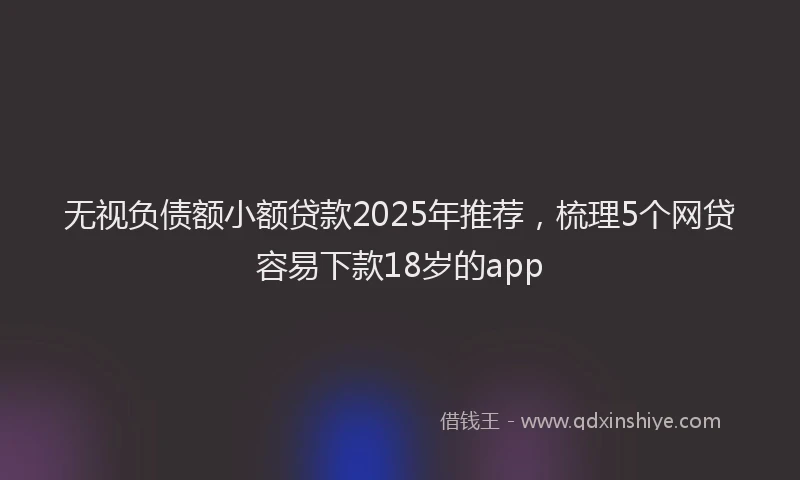 无视负债额小额贷款2025年推荐，梳理5个网贷容易下款18岁的app