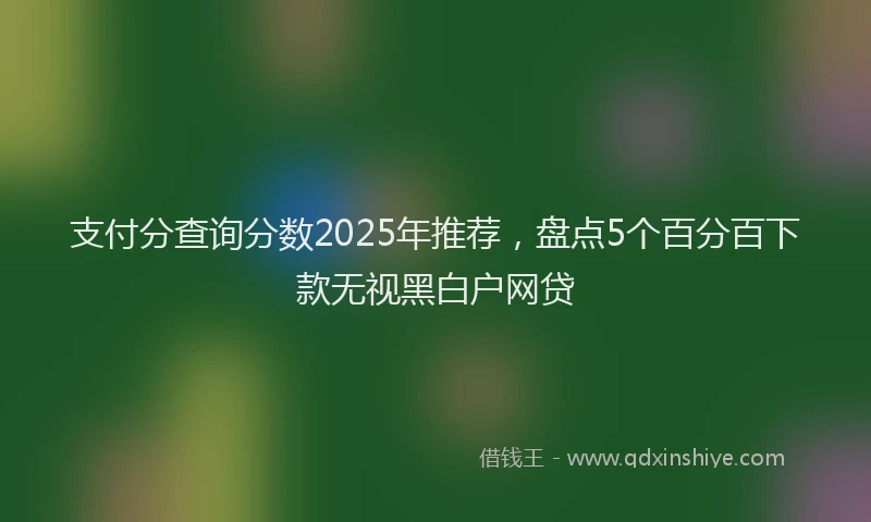 支付分查询分数2025年推荐，盘点5个百分百下款无视黑白户网贷