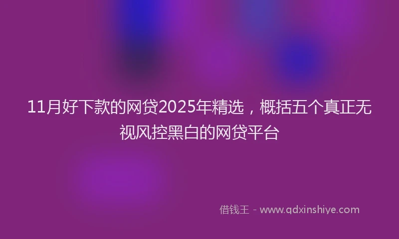 11月好下款的网贷2025年精选，概括五个真正无视风控黑白的网贷平台