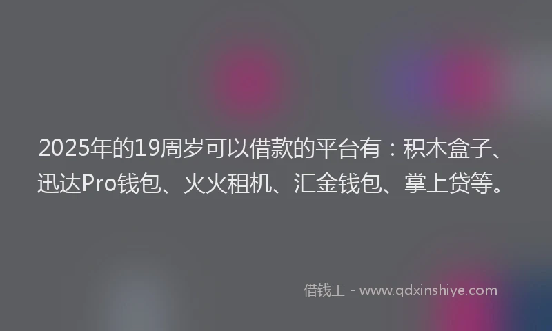 2025年的19周岁可以借款的平台有：积木盒子、迅达Pro钱包、火火租机、汇金钱包、掌上贷等。