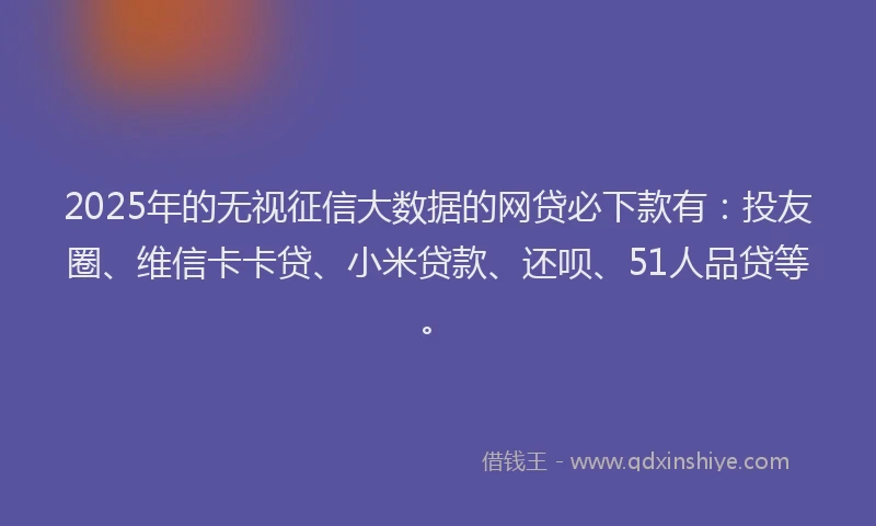 2025年的无视征信大数据的网贷必下款有：投友圈、维信卡卡贷、小米贷款、还呗、51人品贷等。