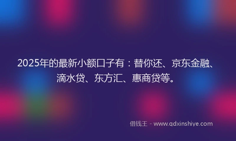 2025年的最新小额口子有：替你还、京东金融、滴水贷、东方汇、惠商贷等。