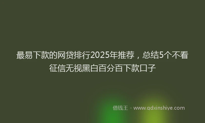 最易下款的网贷排行2025年推荐，总结5个不看征信无视黑白百分百下款口子
