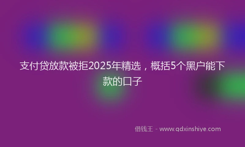 支付贷放款被拒2025年精选，概括5个黑户能下款的口子