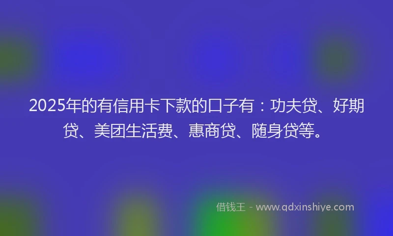 2025年的有信用卡下款的口子有：功夫贷、好期贷、美团生活费、惠商贷、随身贷等。