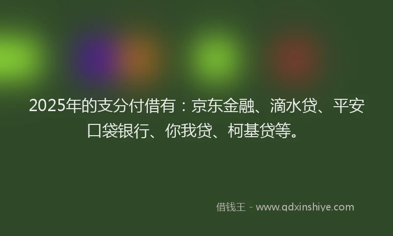 2025年的支分付借有：京东金融、滴水贷、平安口袋银行、你我贷、柯基贷等。