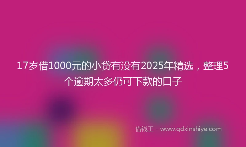 17岁借1000元的小贷有没有2025年精选，整理5个逾期太多仍可下款的口子