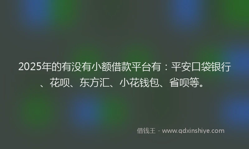 2025年的有没有小额借款平台有：平安口袋银行、花呗、东方汇、小花钱包、省呗等。