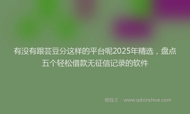 有没有跟芸豆分这样的平台呢2025年精选，盘点五个轻松借款无征信记录的软件