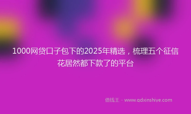1000网贷口子包下的2025年精选，梳理五个征信花居然都下款了的平台