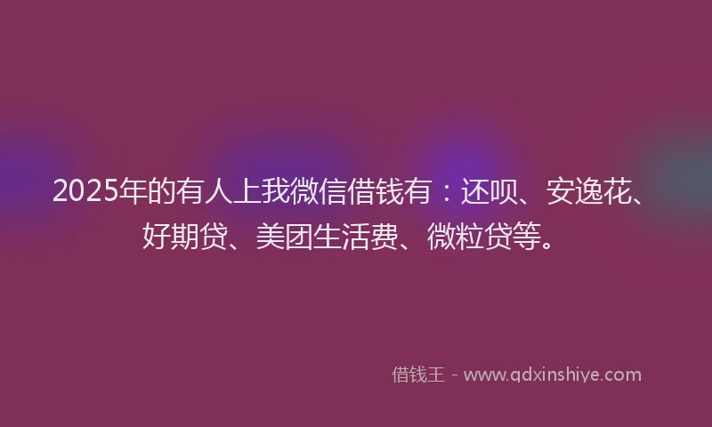 2025年的有人上我微信借钱有：还呗、安逸花、好期贷、美团生活费、微粒贷等。