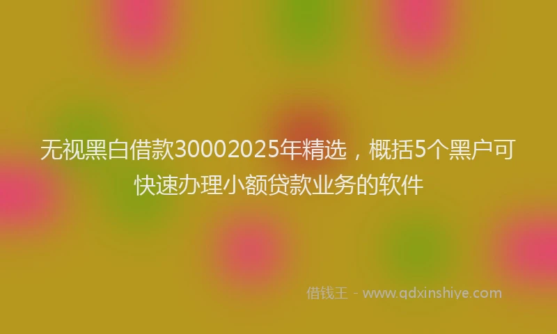无视黑白借款30002025年精选，概括5个黑户可快速办理小额贷款业务的软件