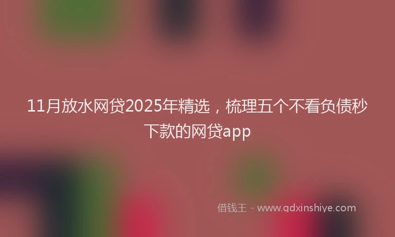 11月放水网贷2025年精选，梳理五个不看负债秒下款的网贷app