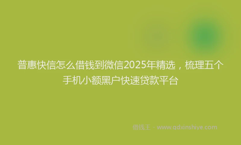 普惠快信怎么借钱到微信2025年精选，梳理五个手机小额黑户快速贷款平台