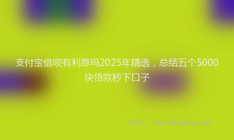支付宝借呗有利息吗2025年精选，总结五个5000块贷款秒下口子