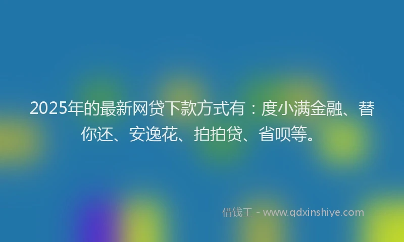 2025年的最新网贷下款方式有：度小满金融、替你还、安逸花、拍拍贷、省呗等。