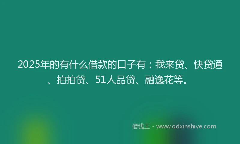 2025年的有什么借款的口子有：我来贷、快贷通、拍拍贷、51人品贷、融逸花等。
