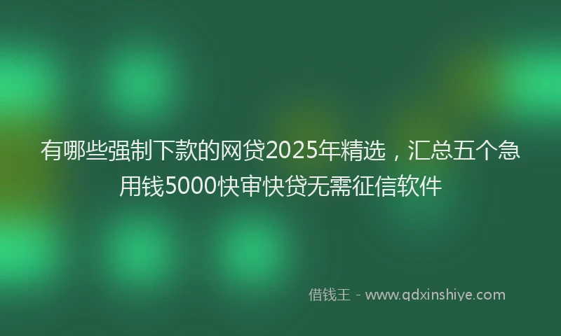 有哪些强制下款的网贷2025年精选，汇总五个急用钱5000快审快贷无需征信软件