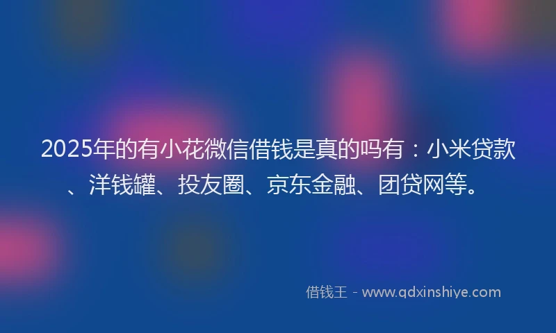 2025年的有小花微信借钱是真的吗有：小米贷款、洋钱罐、投友圈、京东金融、团贷网等。