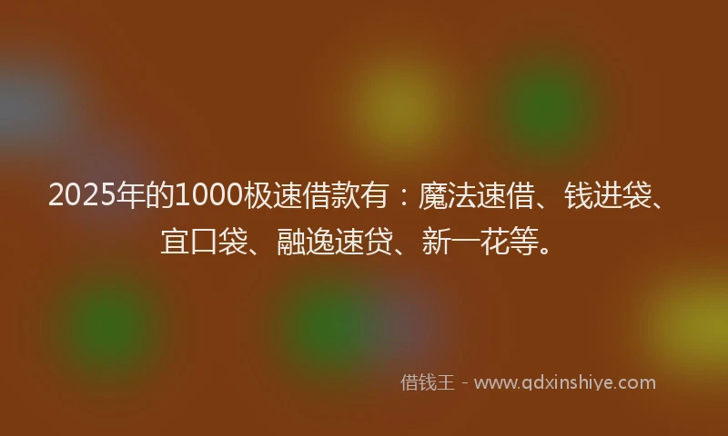 2025年的1000极速借款有：魔法速借、钱进袋、宜口袋、融逸速贷、新一花等。