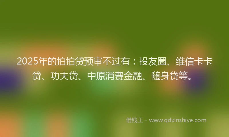 2025年的拍拍贷预审不过有：投友圈、维信卡卡贷、功夫贷、中原消费金融、随身贷等。