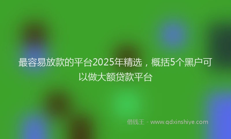 最容易放款的平台2025年精选，概括5个黑户可以做大额贷款平台
