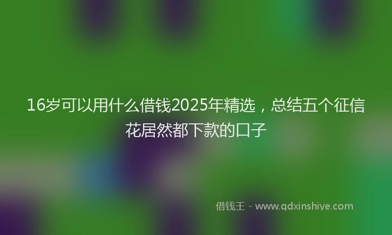 16岁可以用什么借钱2025年精选，总结五个征信花居然都下款的口子