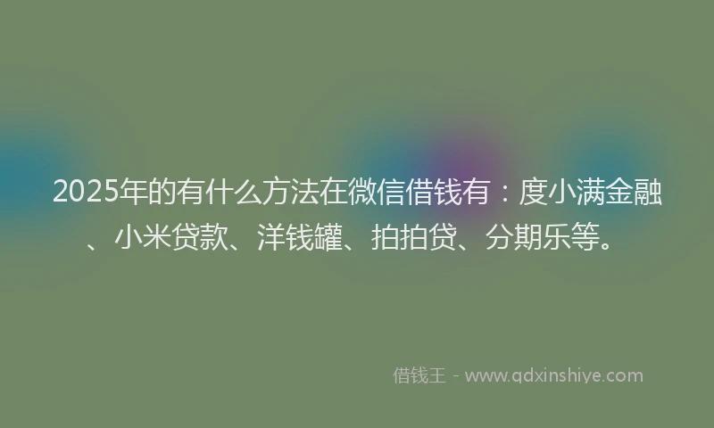 2025年的有什么方法在微信借钱有：度小满金融、小米贷款、洋钱罐、拍拍贷、分期乐等。