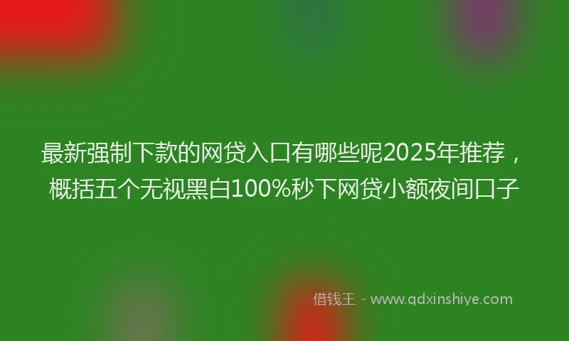 最新强制下款的网贷入口有哪些呢2025年推荐，概括五个无视黑白100%秒下网贷小额夜间口子