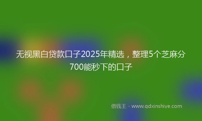 无视黑白贷款口子2025年精选，整理5个芝麻分700能秒下的口子