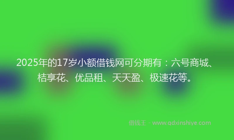 2025年的17岁小额借钱网可分期有：六号商城、桔享花、优品租、天天盈、极速花等。