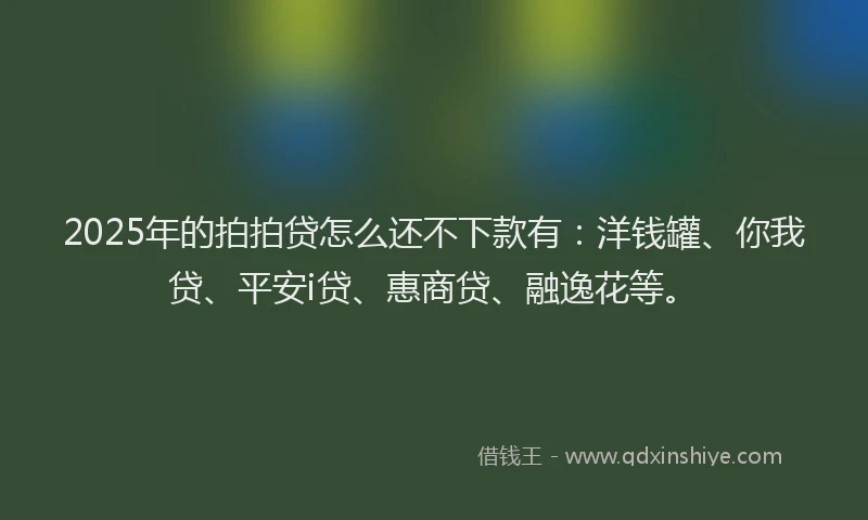 2025年的拍拍贷怎么还不下款有：洋钱罐、你我贷、平安i贷、惠商贷、融逸花等。