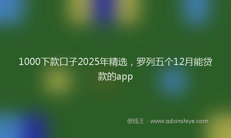 1000下款口子2025年精选，罗列五个12月能贷款的app