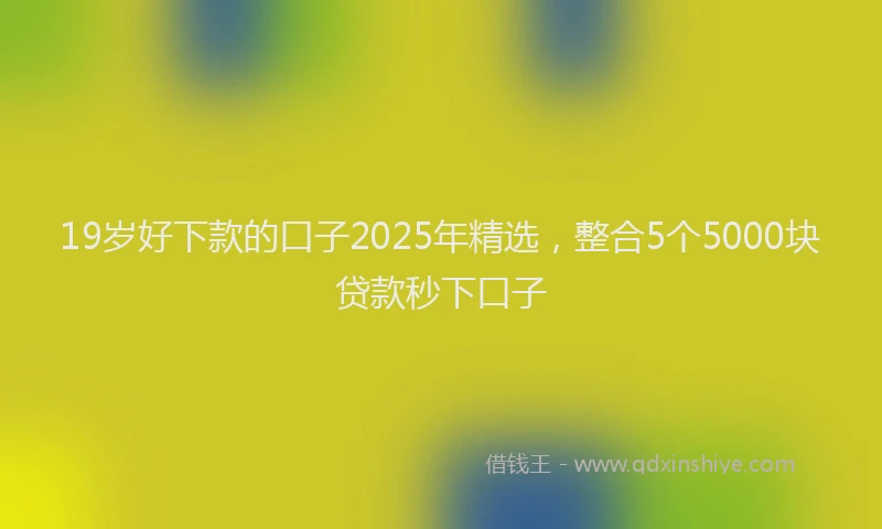 19岁好下款的口子2025年精选，整合5个5000块贷款秒下口子