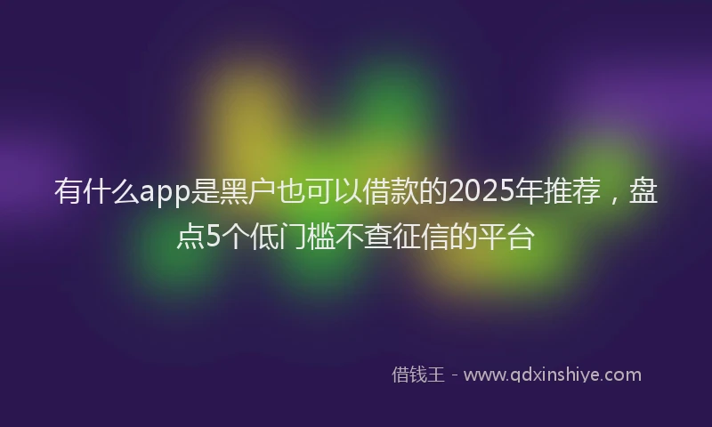 有什么app是黑户也可以借款的2025年推荐，盘点5个低门槛不查征信的平台