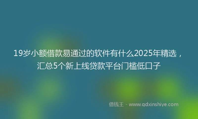19岁小额借款易通过的软件有什么2025年精选，汇总5个新上线贷款平台门槛低口子