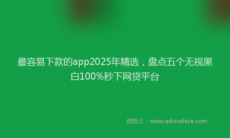 最容易下款的app2025年精选，盘点五个无视黑白100%秒下网贷平台