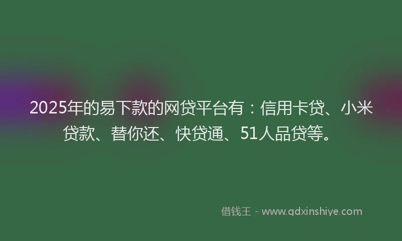 2025年的易下款的网贷平台有：信用卡贷、小米贷款、替你还、快贷通、51人品贷等。