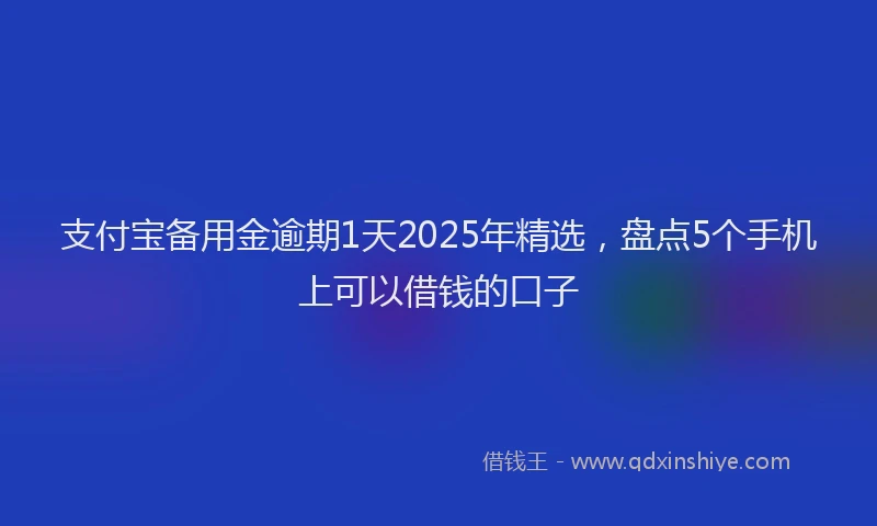 支付宝备用金逾期1天2025年精选，盘点5个手机上可以借钱的口子