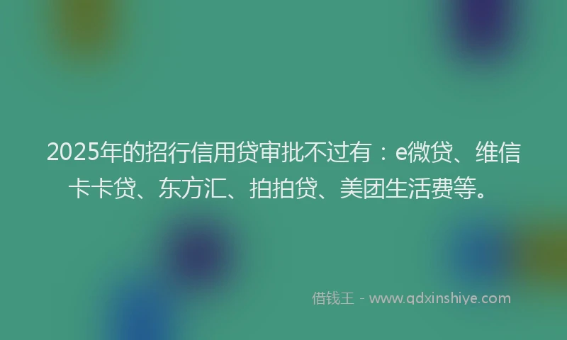 2025年的招行信用贷审批不过有：e微贷、维信卡卡贷、东方汇、拍拍贷、美团生活费等。