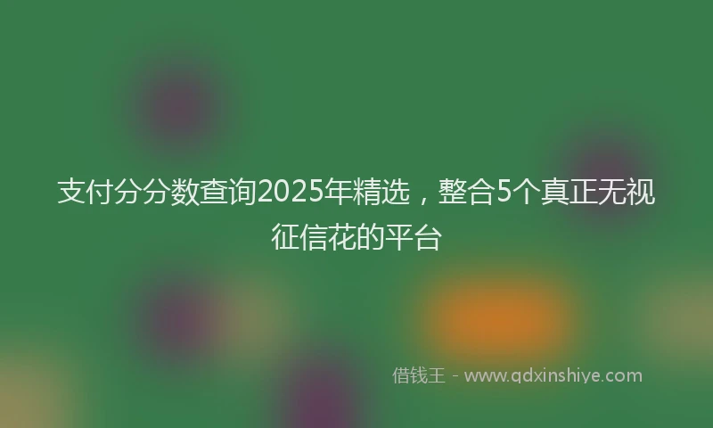 支付分分数查询2025年精选，整合5个真正无视征信花的平台
